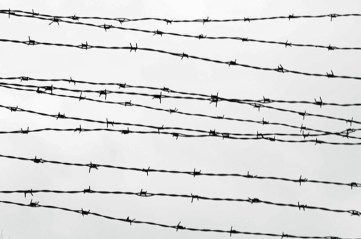 Auschwitz I - Wire BW