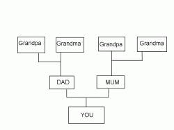 Family_tree