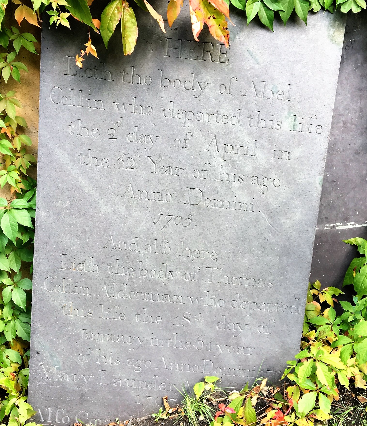 01a42ff48192db6d8cd0b580201319e723bbb1294c