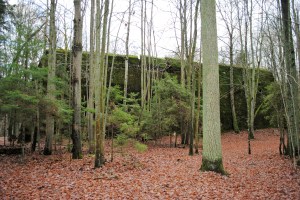 Martin Bormann's bunker.